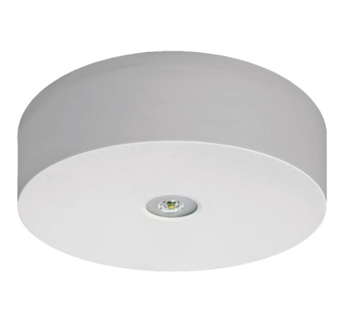 Anti-paniek noodverlichting, opbouw, wit, IP65, 6W, 1H, 780LM, Autotest, IK08